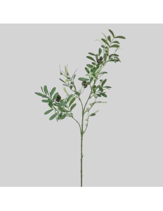 Rama de olivo 90 cm