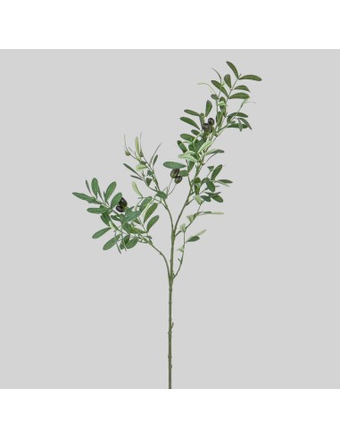 Rama de olivo 90 cm
