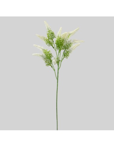 Lila blanca 55cm