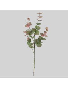 Eucalipto natural 60cm