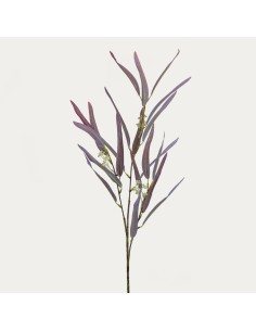 Rama de Eucalipto tinto 76 cm