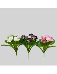 Flores pensamientos surtidos