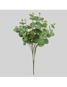 Mata Eucalipto color verde 50cm