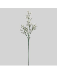 Gipsófila blanca 80cm