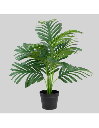 Planta artificial palmera *12 varas