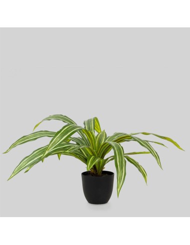 Planta artificial Dracena 20 hojas