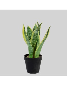 Planta artificial 6 hojas sanseviera pequeña