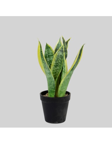 Planta artificial 6 hojas sanseviera pequeña