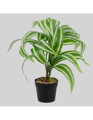 Planta artificial cinta pequeña