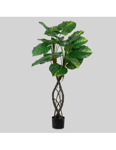 Potho con maceta 140cm