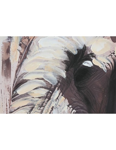 Cuadros elefante 2 surt.