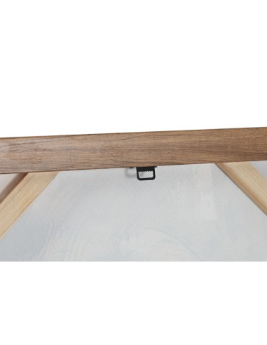 Cuadros elefante 2 surt.