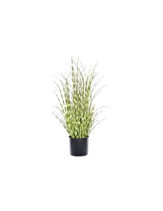 Planta artificial zebra verde