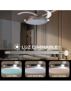 Ventilador de techo con luz plata mate 2