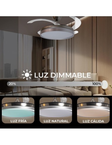 Ventilador de techo con luz plata mate