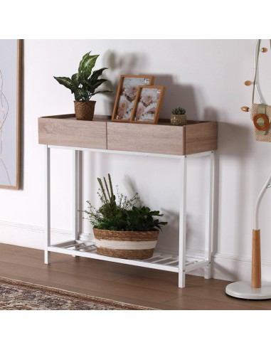 Mueble de entrada con 2 cajones