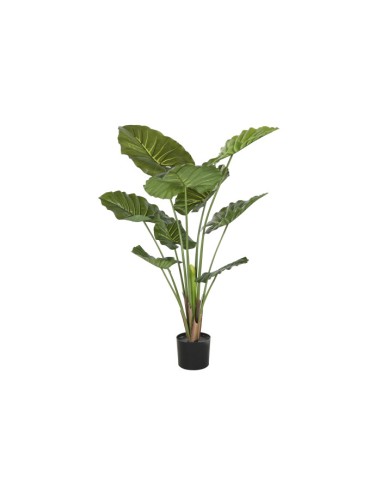 Planta artificial taro verde