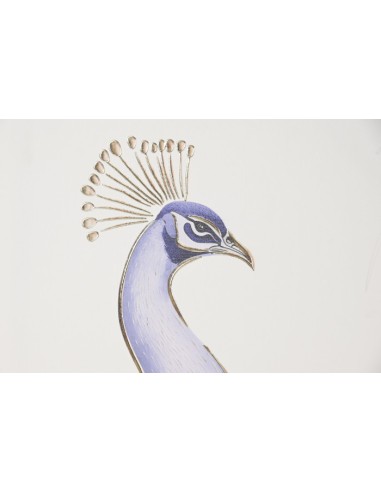 Cuadro en lienzo de pavo real