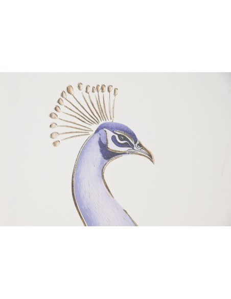 Cuadro en lienzo de pavo real