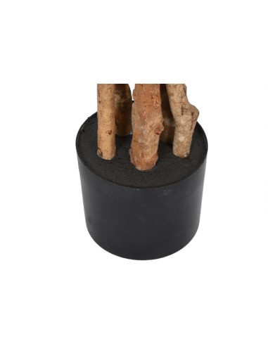 Árbol de almendro blanco