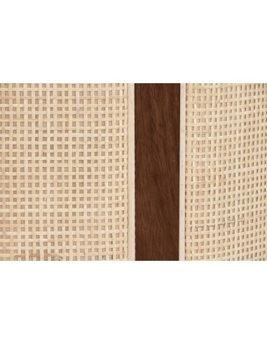 Mesa de Comedor Mango y Fibra