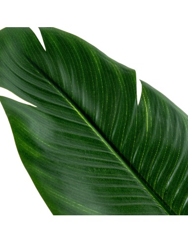 Planta artificial arbol del viajero