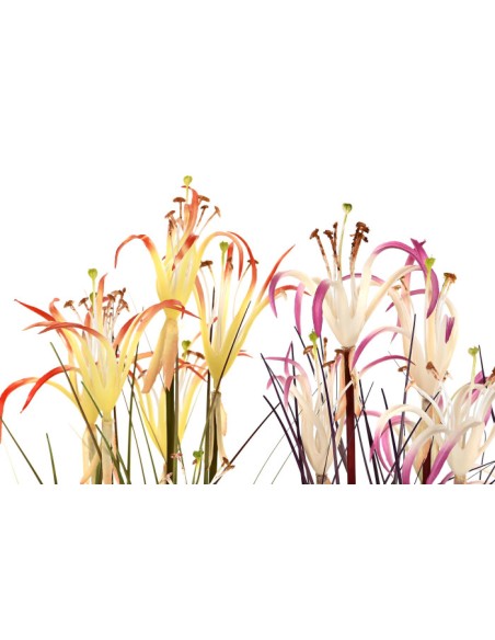 Planta artificial lirio araña