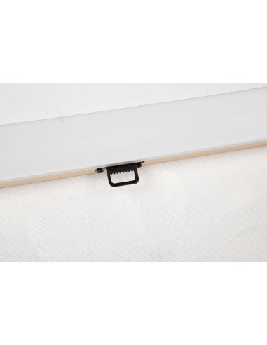 Cuadro Lienzo Rama de Almendro