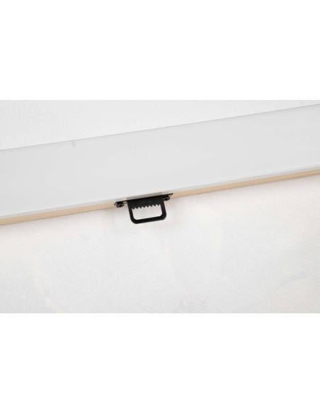 Cuadro Lienzo Rama de Almendro