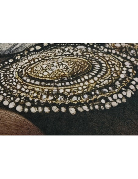 Cuadro Velvet Mujer Africana