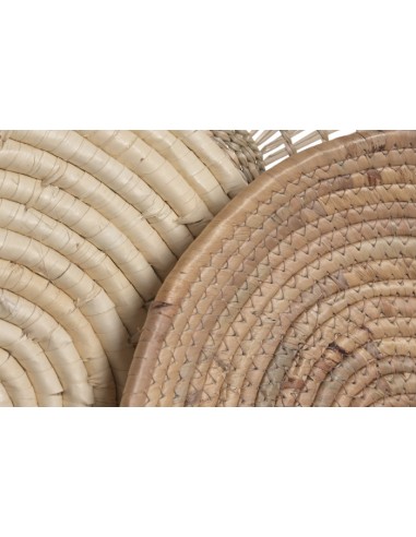 Decoración de Pared Seagrass Jacinto de Agua