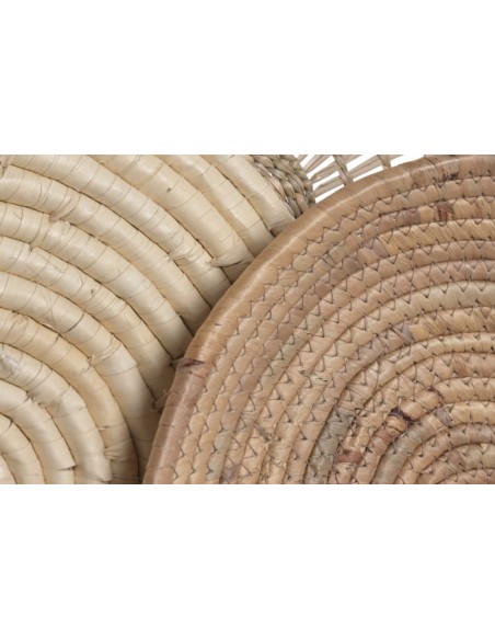 Decoración de Pared Seagrass Jacinto de Agua