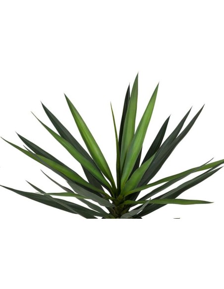 Planta Yucca con Maceta Realista