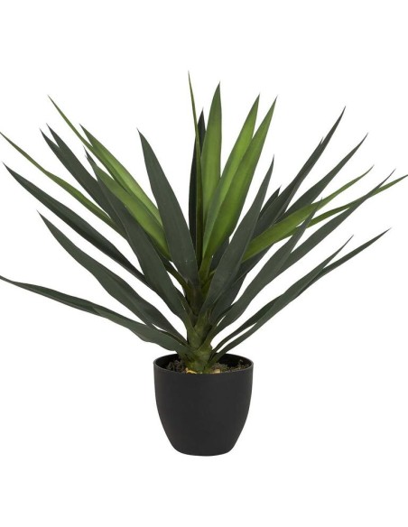 Planta Yucca con Maceta Realista