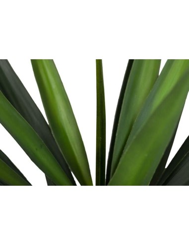 Planta Yucca con Maceta Realista