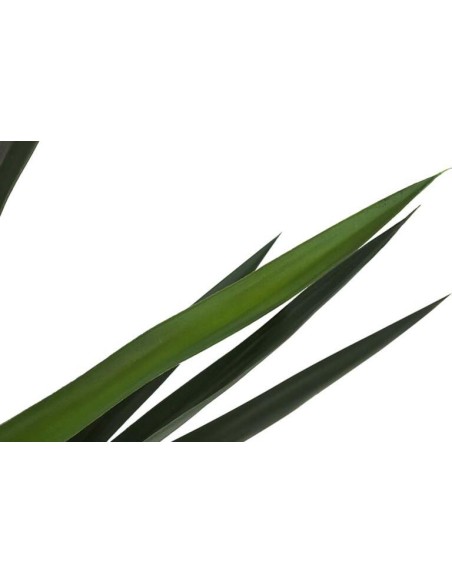 Planta Yucca con Maceta Realista