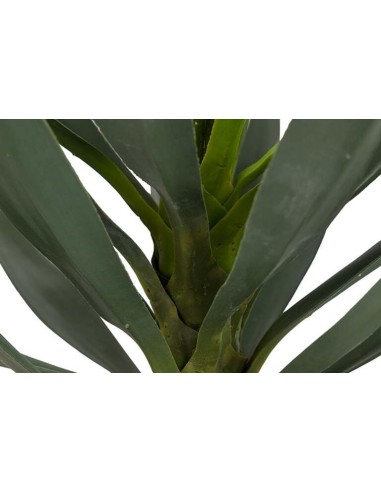 Planta Yucca con Maceta Realista