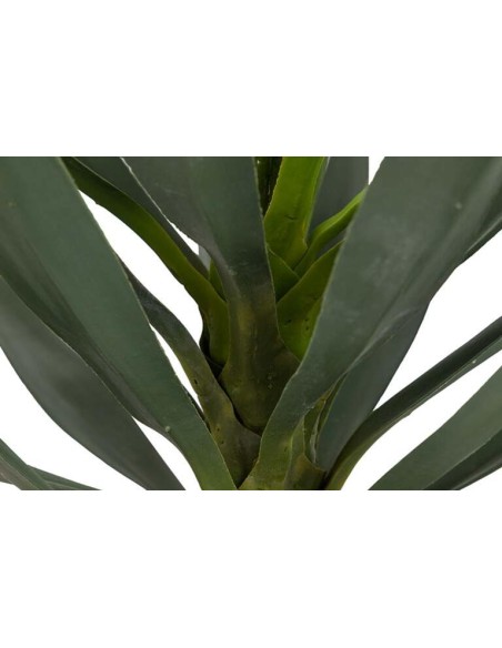 Planta Yucca con Maceta Realista