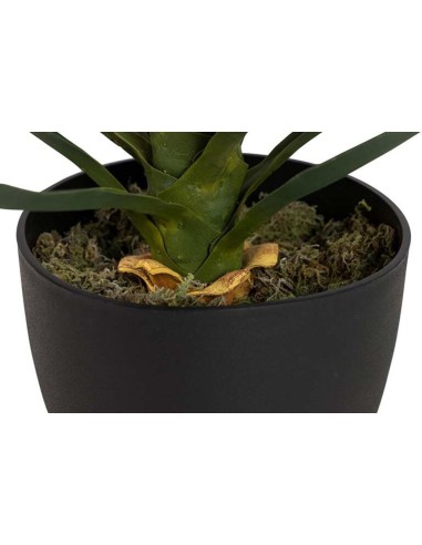 Planta Yucca con Maceta Realista