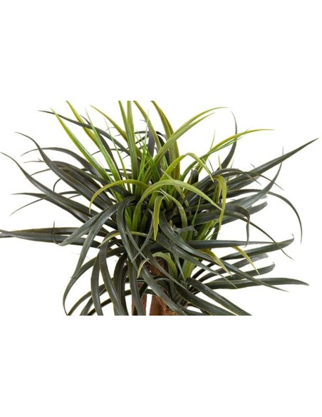 Planta Yucca con Maceta Realista