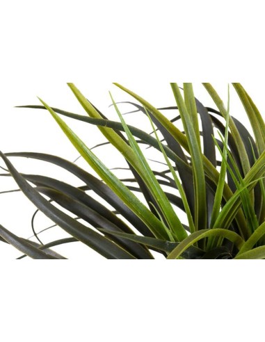 Planta Yucca con Maceta Realista