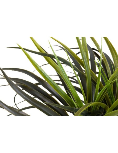 Planta Yucca con Maceta Realista