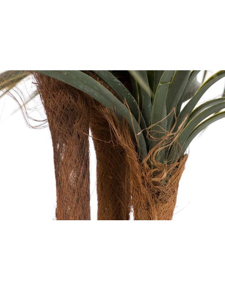 Planta Yucca con Maceta Realista