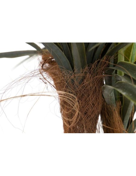 Planta Yucca con Maceta Realista