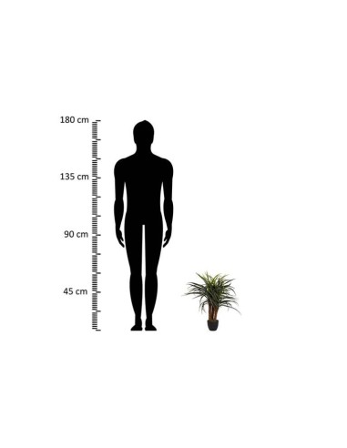 Planta Yucca con Maceta Realista