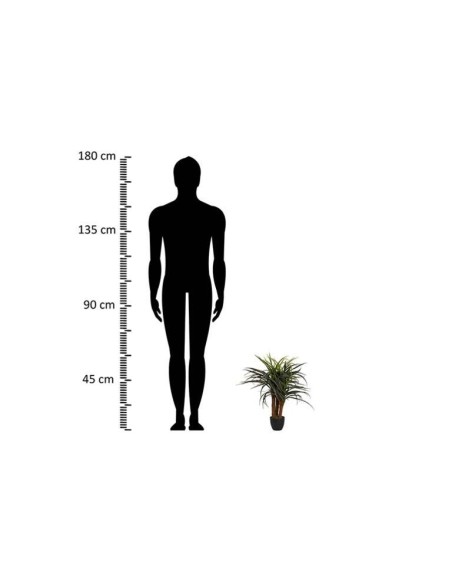 Planta Yucca con Maceta Realista