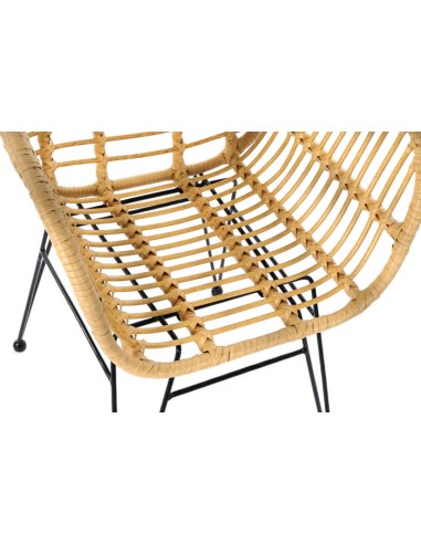 Silla de Ratán Sintético y Metal