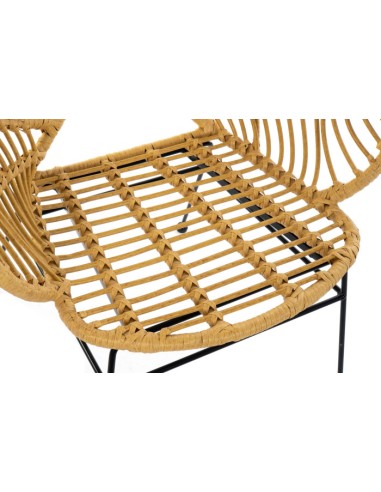 Silla de Ratán Sintético con Diseño de Hoja