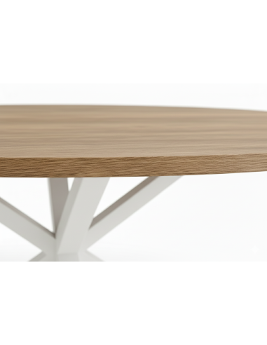 Mesa de melamina ovalada patas de metal