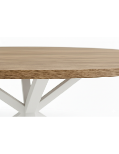 Mesa de melamina ovalada patas de metal